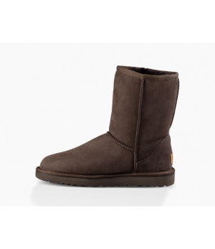 Classic II Short Chocolate 1016223